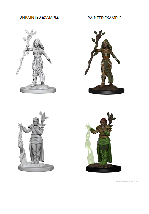 D&D Nolzur's Marvelous Miniatures - Human Female Druid